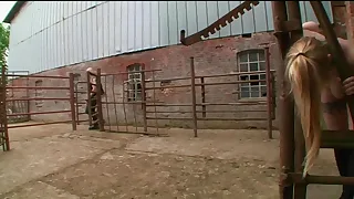 Absolute BDSM - Anal Taken Apart